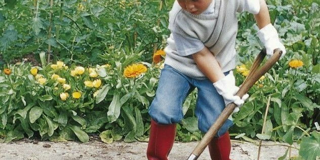 Why Growing Your Own Fruit is Great for Your Health !