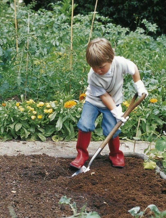 Why Growing Your Own Fruit is Great for Your Health !