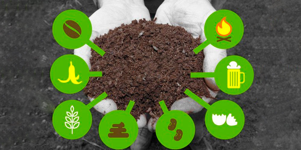 Fruit Tree Care: Soil Prep and Fertilizing Made Simple