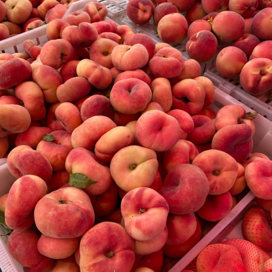 Saturn Peach (VOTED THE BEST-TASTING PEACH IN THE WORLD )