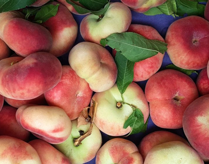 Saturn Peach (VOTED THE BEST-TASTING PEACH IN THE WORLD )