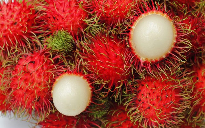 π³ Rambutan Seedling β A Unique Tropical Fruit