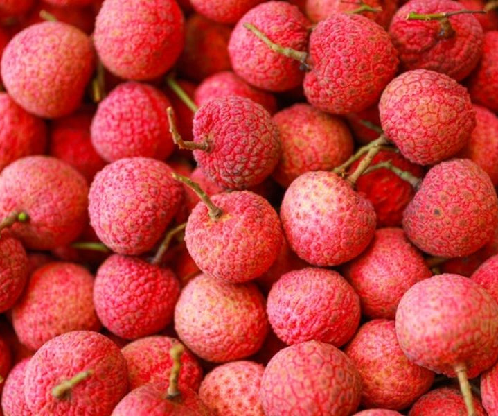 Lychee Tree