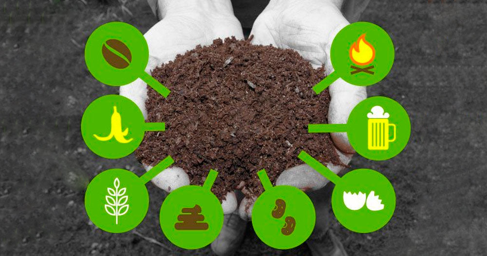 Fruit Tree Care: Soil Prep and Fertilizing Made Simple