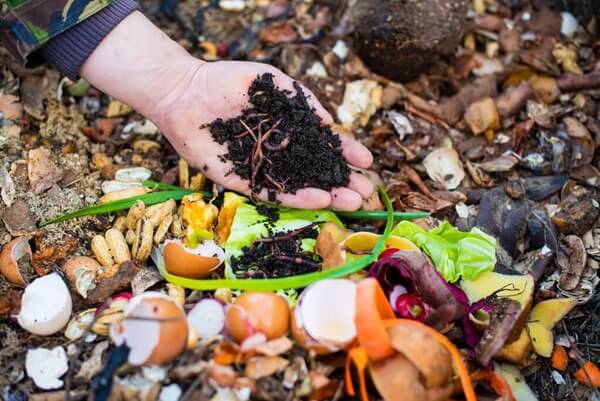 Organic Fertilizers and Soil Health: The Key to Sustainable Farming