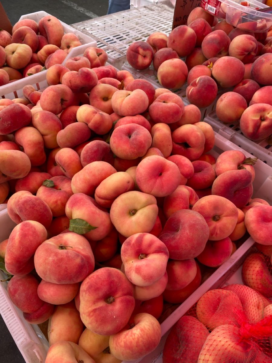 Saturn Peach (VOTED THE BEST-TASTING PEACH IN THE WORLD )