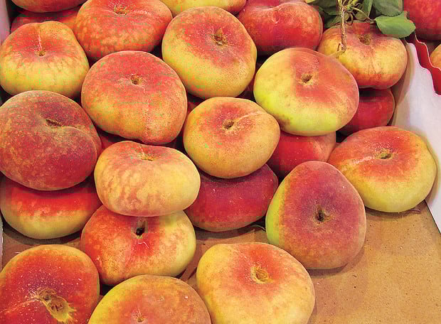 Saturn Peach (VOTED THE BEST-TASTING PEACH IN THE WORLD )