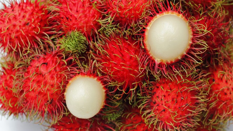 🌳 Rambutan Seedling – A Unique Tropical Fruit