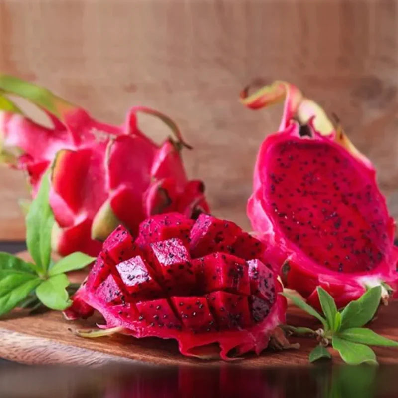 🌵 Red Dragon Fruit Seedling – A Super Nutritious Tropical Fruit