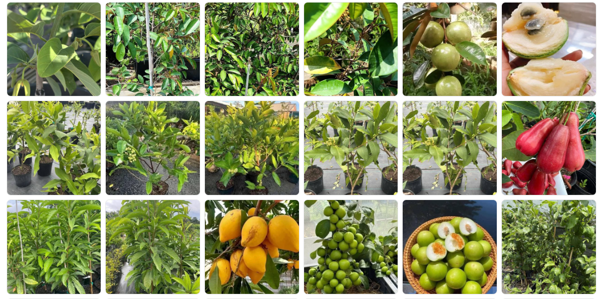 Nh man hinh 2025 08 24 luc 13