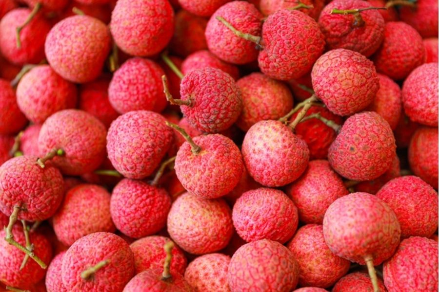 Lychee Tree