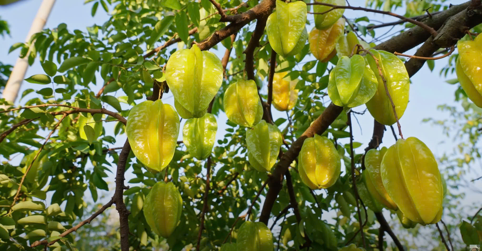 Z6938276044930 8bc356a6dc487b4fec5c1661f4baa85a