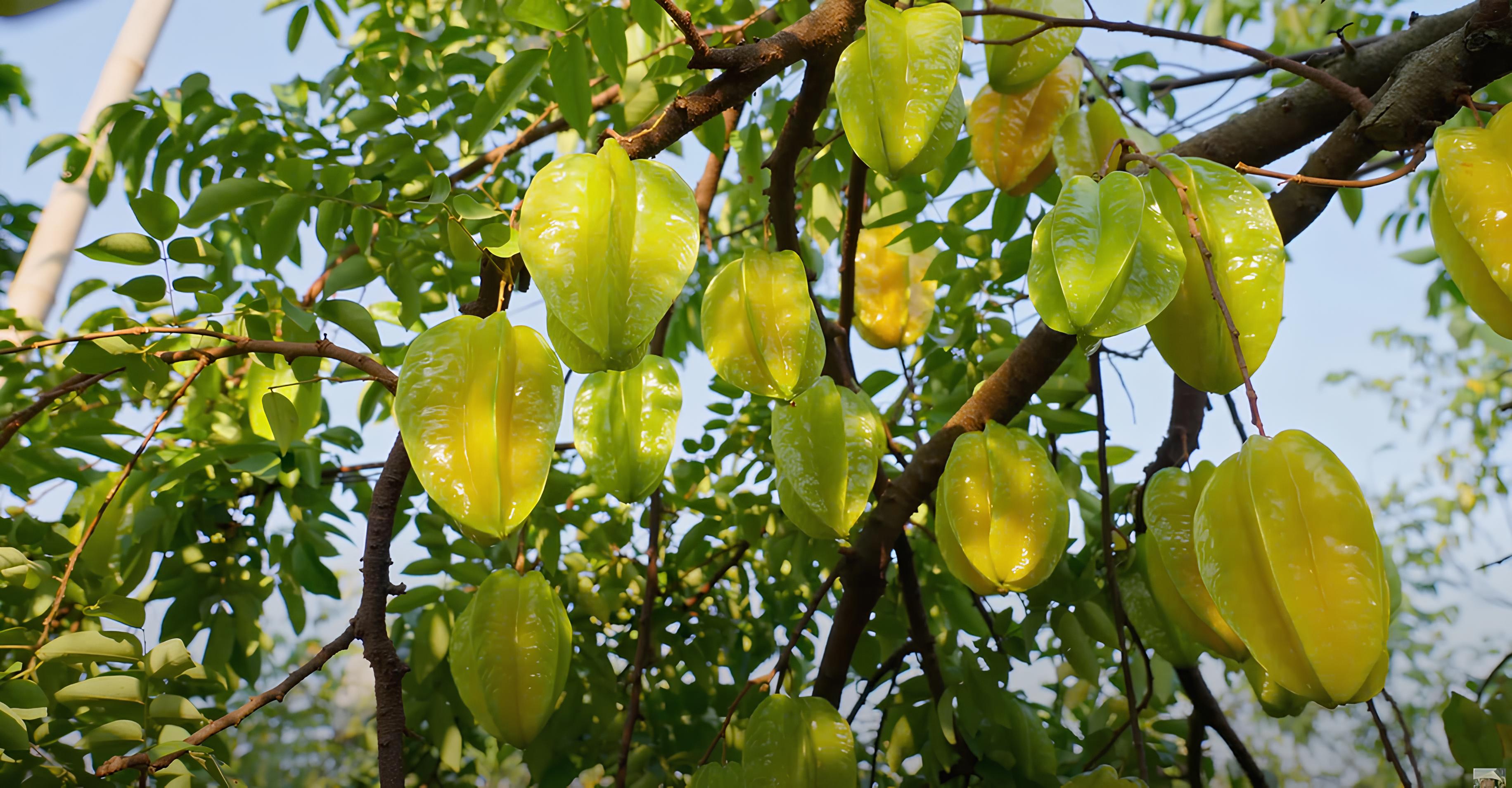 Z6938276044930 8bc356a6dc487b4fec5c1661f4baa85a 1