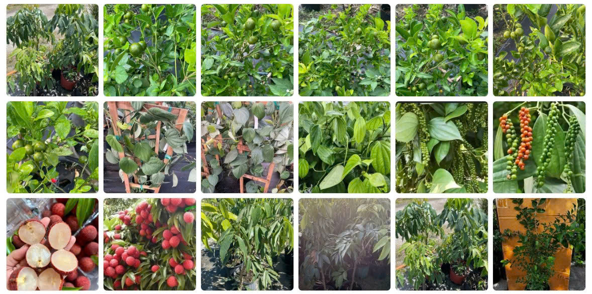 Z6939067846728 0ba6d7ea09417cd2d1e162e240c2d8a2